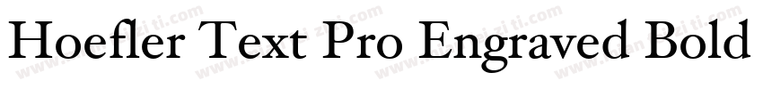 Hoefler Text Pro Engraved Bold字体转换